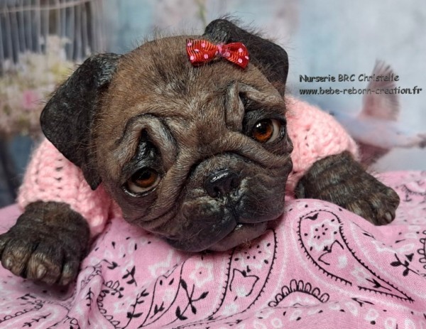 B Monty simon Laurens (5)